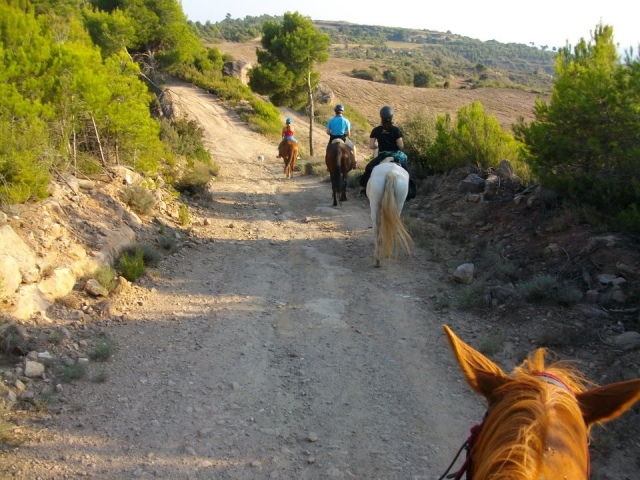 Ruta a caballo por los parajes del Berguedà sud