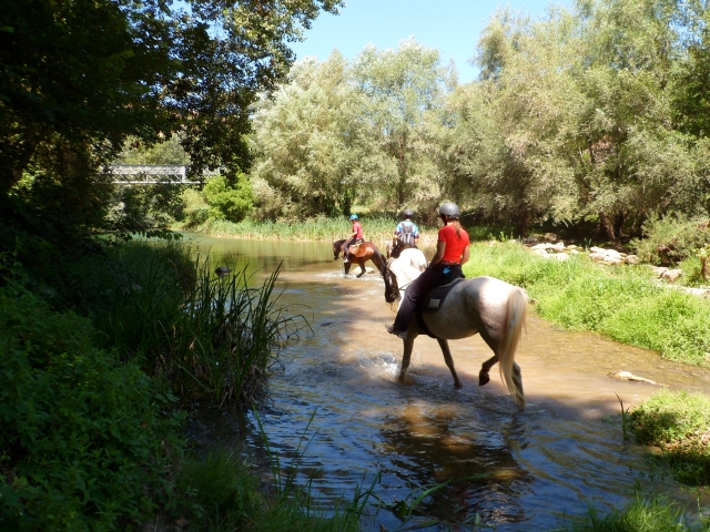 Llobregat