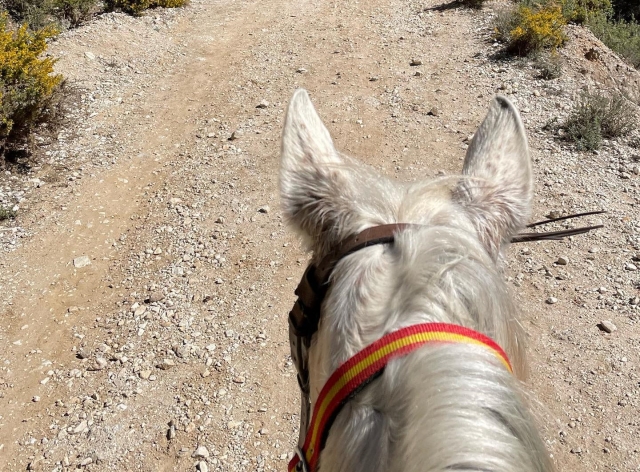  Reiten in der Sierra de Mijas 