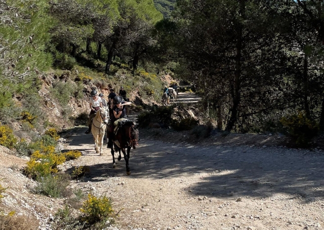  Genießen Sie ein Reiterlebnis in Mijas 