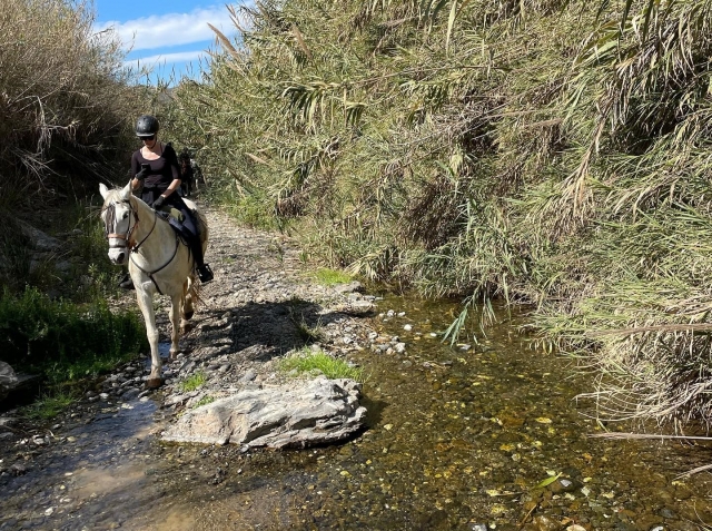  Reitweg in der Sierra de Mijas 