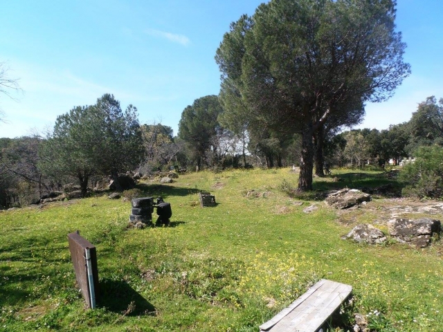 Escondido en la torre de neumaticos