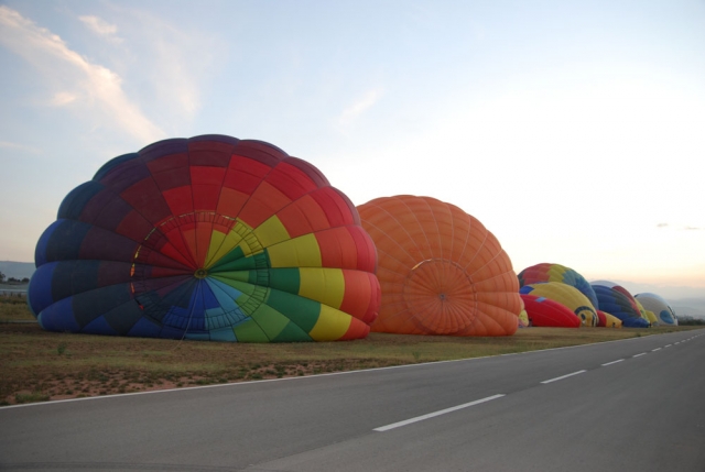  All balloons online 