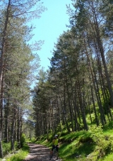 Conoce naturaleza única