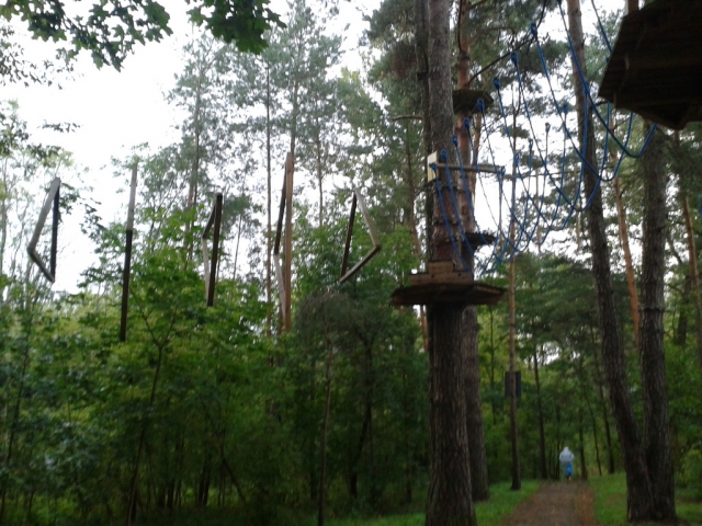  Besuchen Sie die Baumparcours 