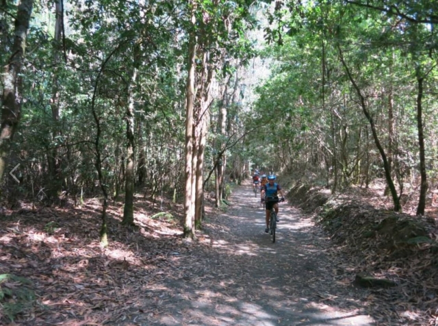 En bici por los bosques hasta Santiago