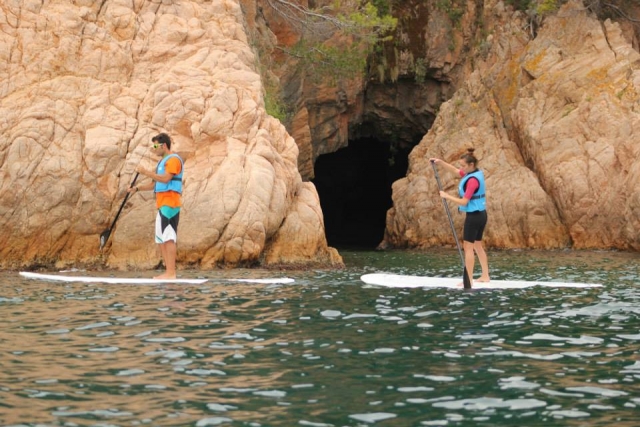  Group paddle surfing 