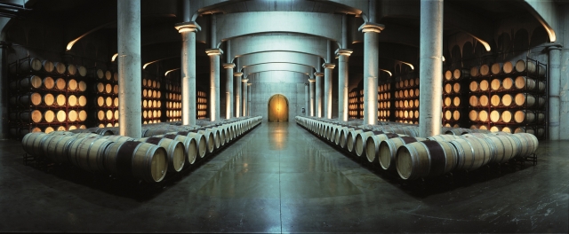 Bodegas y Viñedos Fernandez de Manzanos
