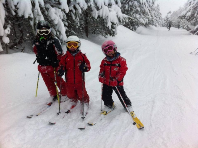  Posare accanto agli abeti innevati