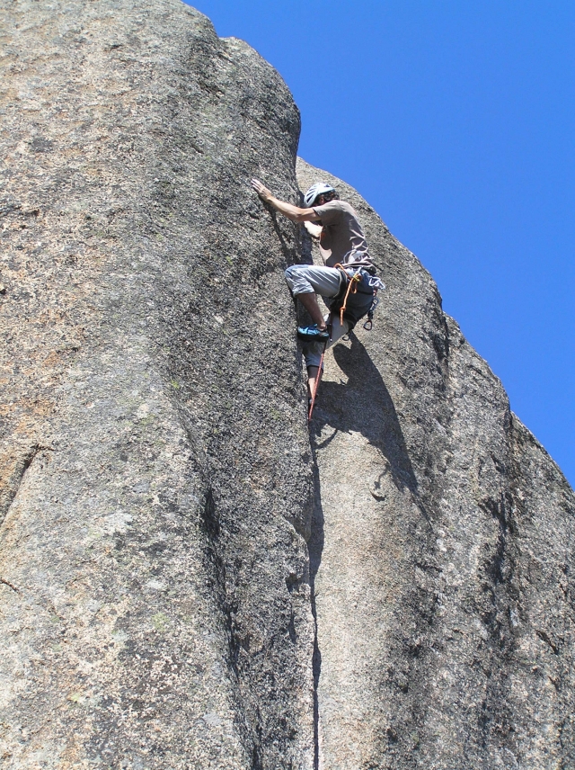  In the crack in the wall 