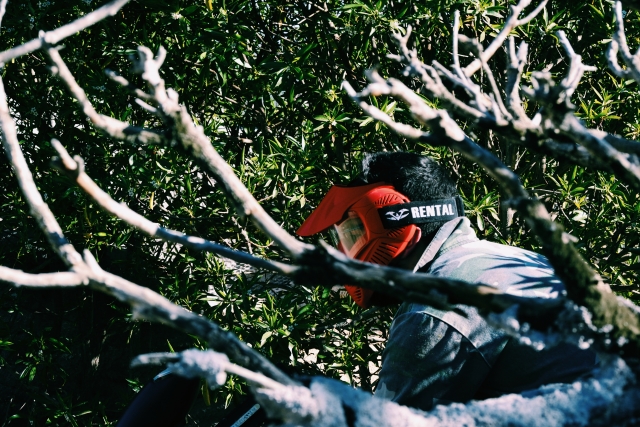 Jugador de paintball entre las ramas