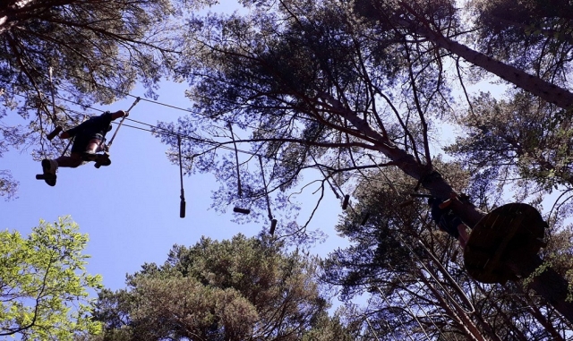 Obstáculos de árbol a árbol