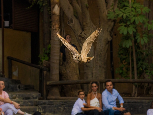 En pleno vuelo