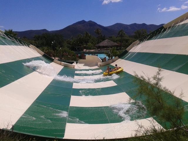 La cobra en el parque acuatico