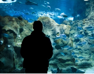 Aquarium Donostia