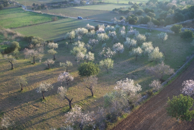  Vue aérienne de Majorque 