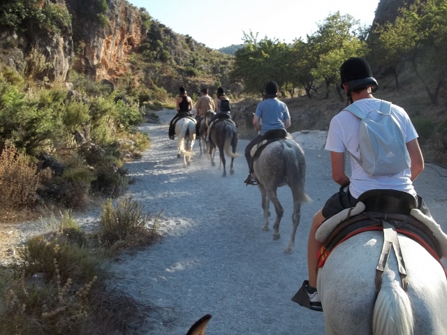 Excursiones a caballo guiadas