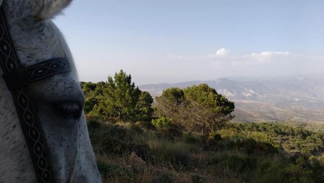 Disfruta de paisajes variopintos en tus rutas ecuestres