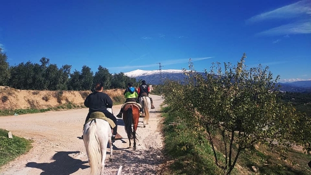 Disfruta del paisaje del sur