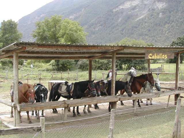 Caballos en Sarvise