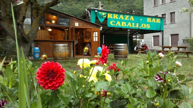 terraza