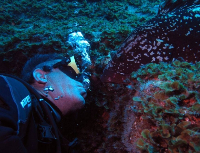 contempla las maravillas del mar