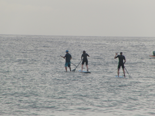  Vela praticando Paddle Surf 