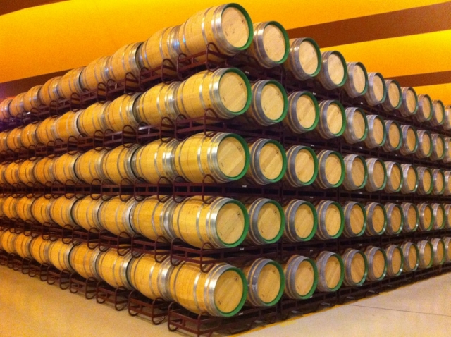 Strutture della cantina 