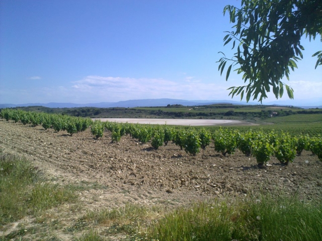  Enoturismo di qualità a La Rioja 