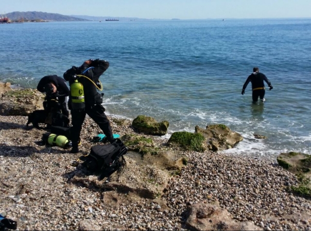 Buceadores desde la costa