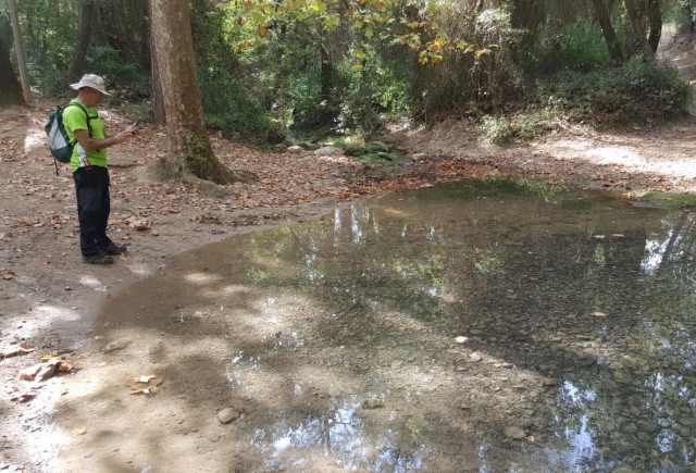 Agua acumulada en el bosque