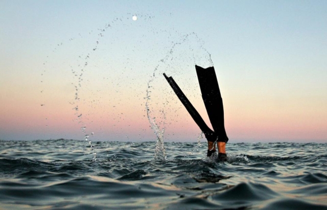 Sumergiendose en el mar al atardecer