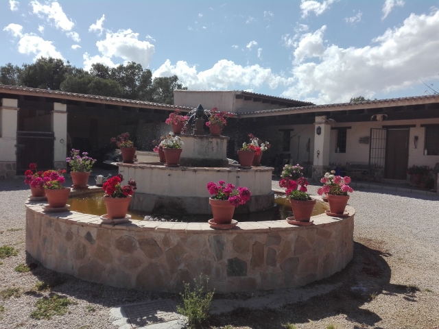 Nuestra maravillosa fuente