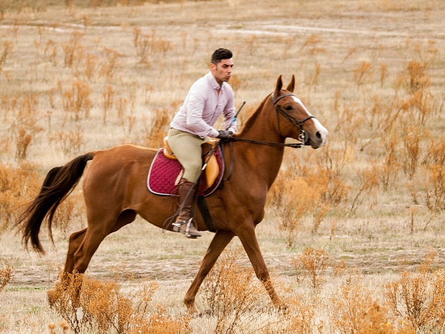 Simbiosis caballo-jinete