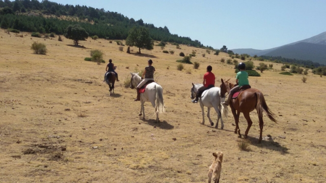 Rutas de iniciacion