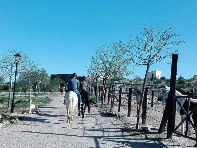 Paseos adaptados al nivel