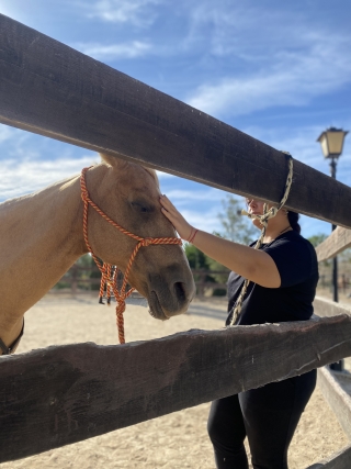 res_o-65804-rutas-a-caballo_de_eva-maria-ortiz_img-2150_17583760365141.jpeg