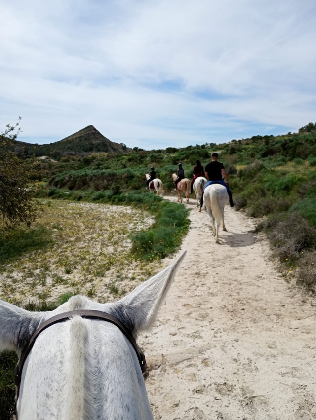 res_o-64231-rutas-a-caballo_de_cristina-isabel-gomez-vega_17455094026839.jpg