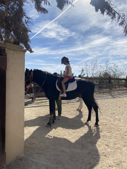 Opinión de Francisco sobre Paseo a caballo en la Sierra de Carrascoy, 1'5h