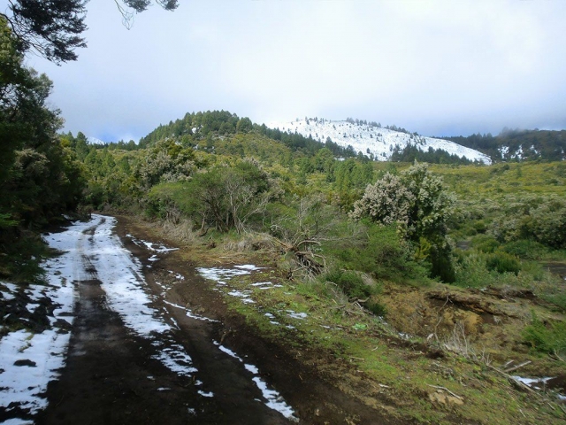  Sentiero innevato verso la montagna 