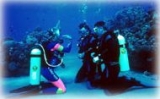 Primeros pasos en el buceo