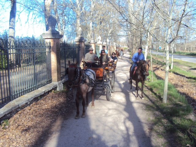 Paseo en coche de caballos