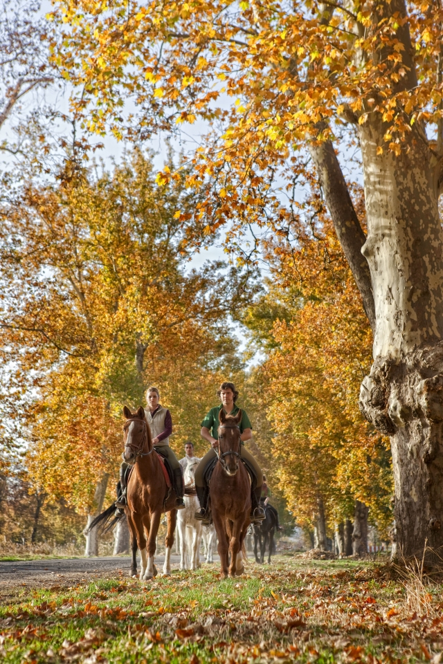 PAseando en Otoño