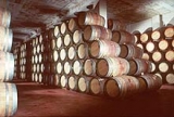 Visita nuestra bodega