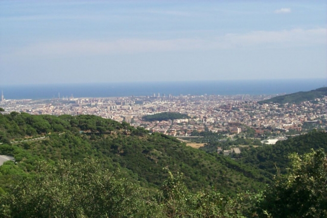 Collserola1.jpg