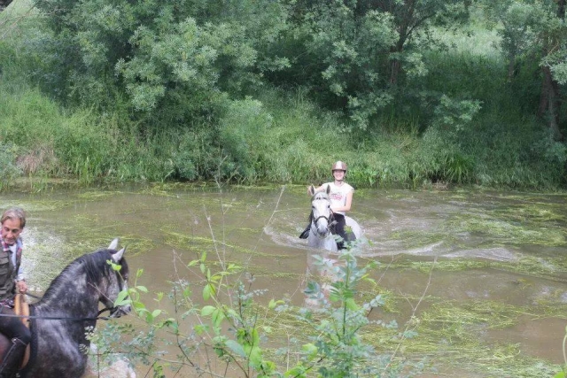 En el agua sobre el caballo