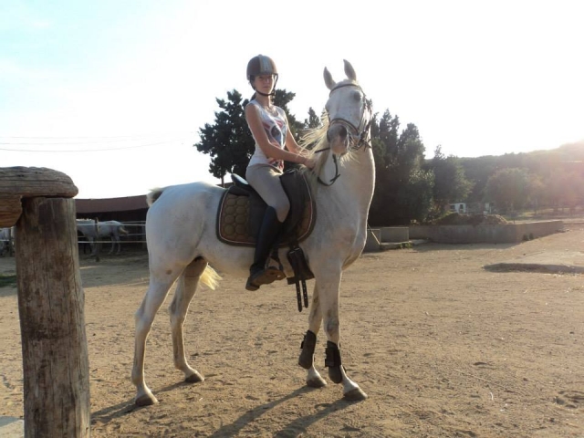 Caballo y jinete en el centro