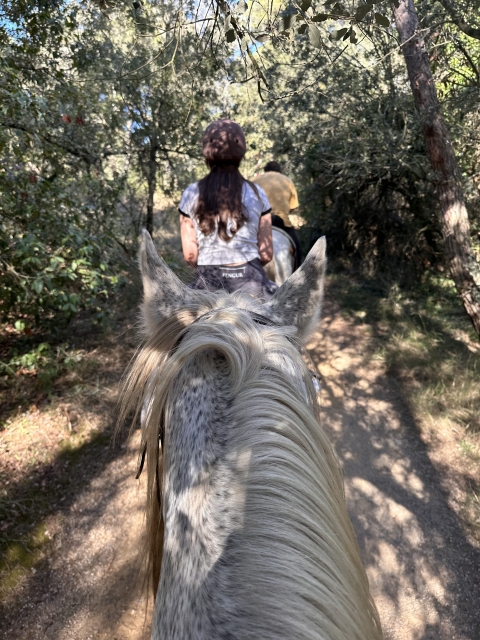 Opinión de Manuela sobre Ruta a caballo avanzada a playa de Costa Brava, 2h