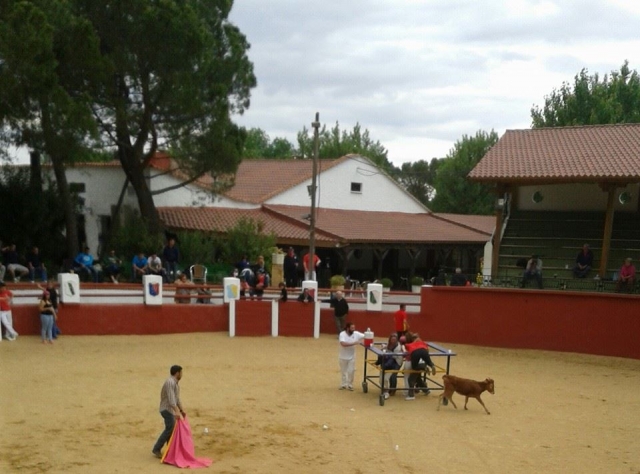 finca plaza 