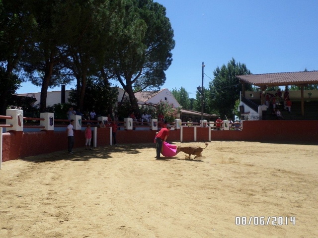 vakilla despedidas.jpg